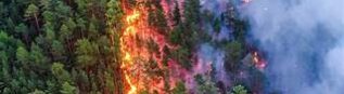 ATTENTION : FEUX DE FORETS